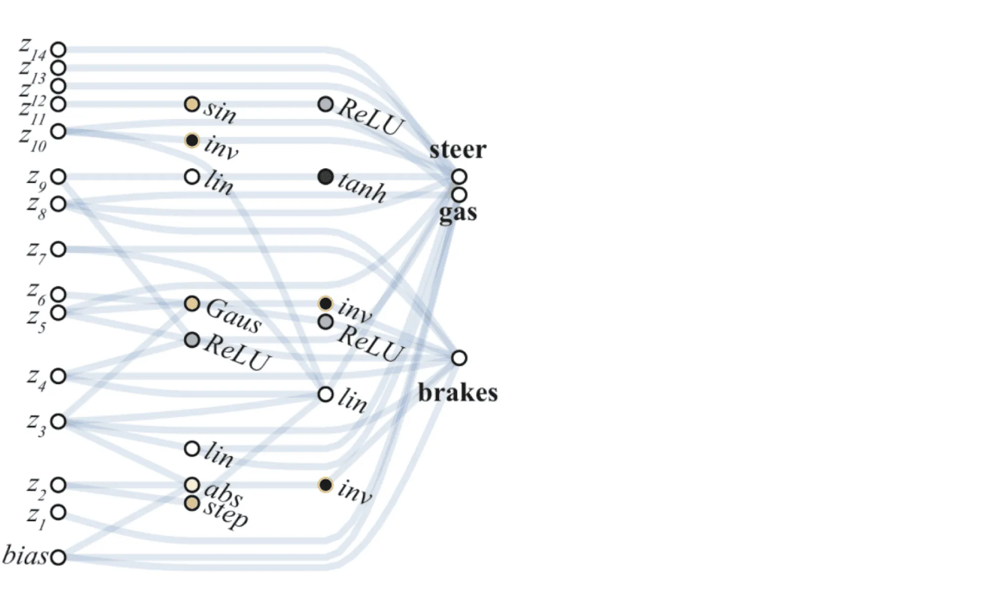 Weight Agnostic Neural Networks Structure